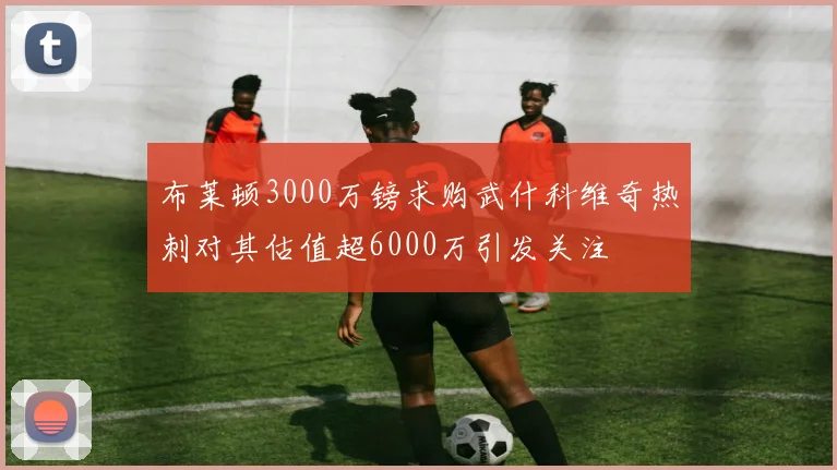 布莱顿3000万镑求购武什科维奇热刺对其估值超6000万引发关注